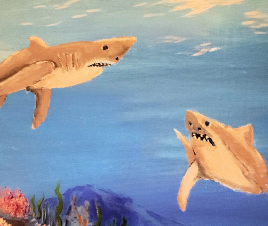 A Sharks Life